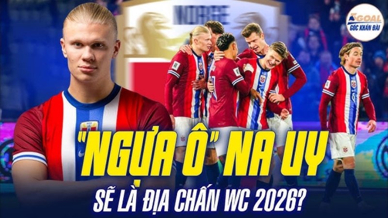 Đội hình chính thức và những gương mặt vàng